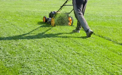 Add to the Aesthetic Appeal of Your Property with Grass Cutting!