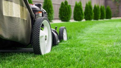 Lawn Care Services - Lawn Care Services Lexington, Kentucky