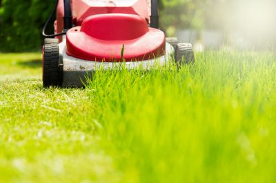 Mowing Your Lawn!