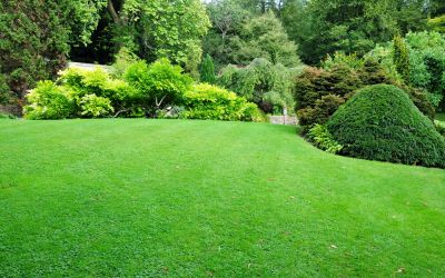 Soil Health Enhancement
