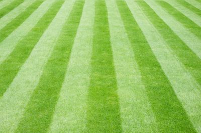 Improve the Visual Appeal of Your Home with Property Mowing Service!