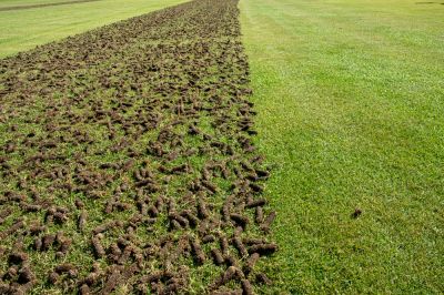 Lawn Aeration Services!
