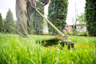 Lawn Trimming and Edging Services!