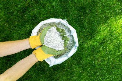 Fertilization Lawn Treatment Service!