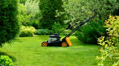 Lawn Treatment Services