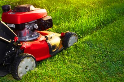 Get Efficient Mowing of Your Lawn!