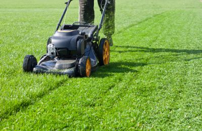 Save Time and Energy with Professional Mowing!