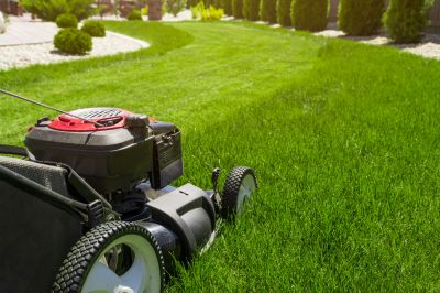Reduce the Chance of Weed Growth with Grass Cutting!