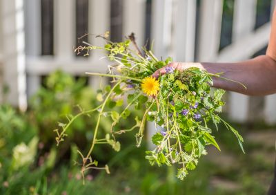 Get Professional Weed Control!
