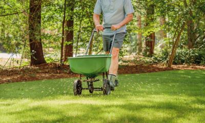 Fertilizing Services