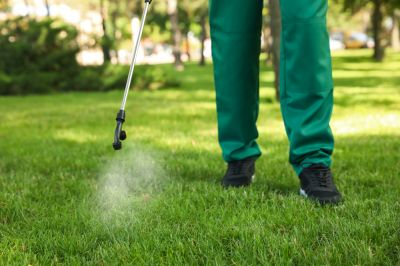 Lawn Treatment