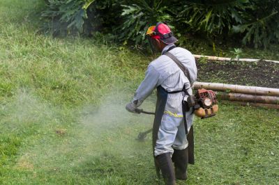 Weed Whacking Service