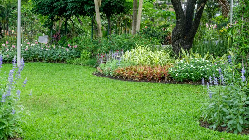 A well-maintained lawn improves your homeu2019s appearance