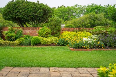 Yard Maintenance