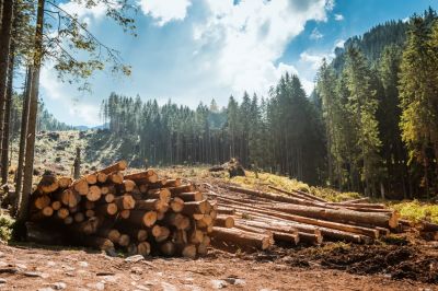 Prevention of Property Damage