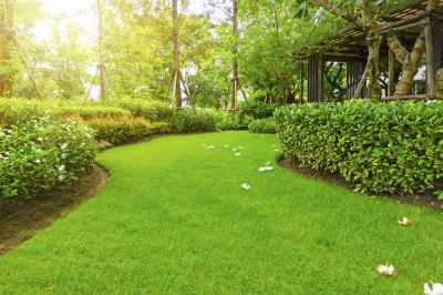 Promote Healthy Grass Growth!