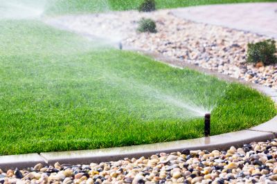 Efficient Water Usage!